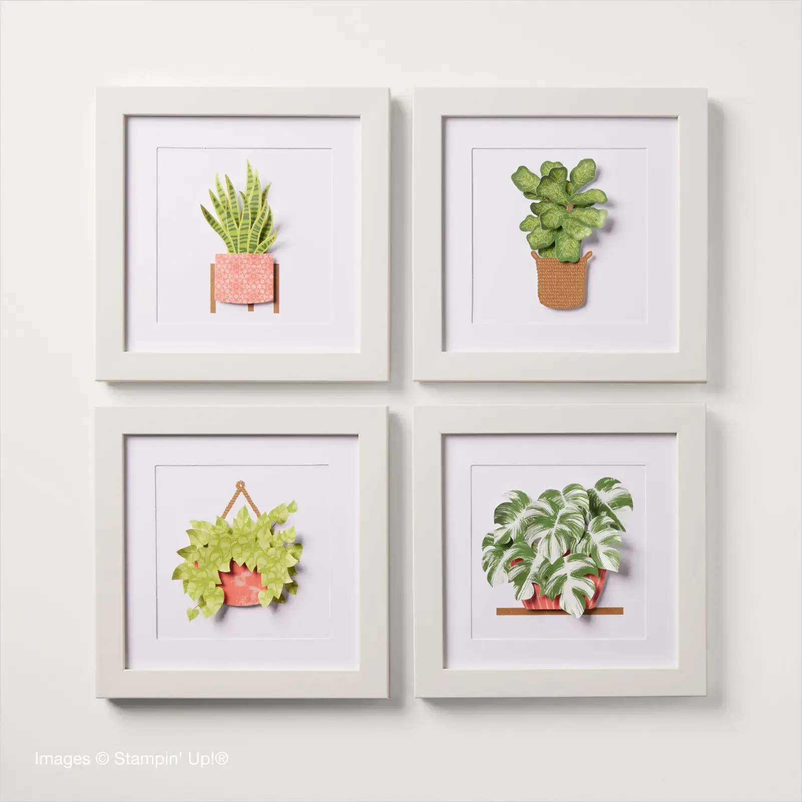 Happy Houseplants Kit Copyright