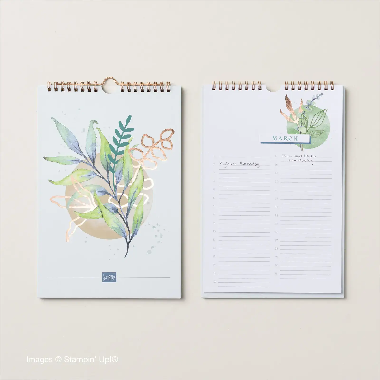Perpetual Beauty Kit Copyright