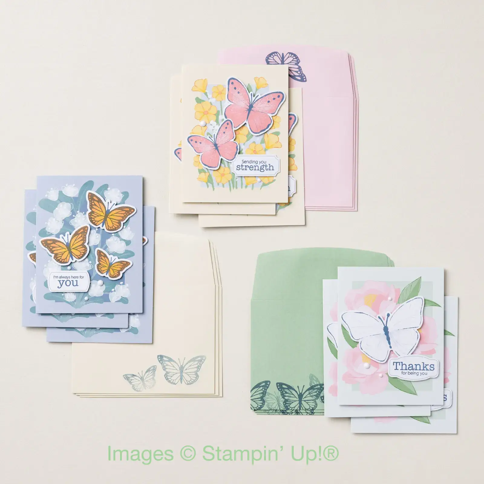 Butterfly Garden Kit