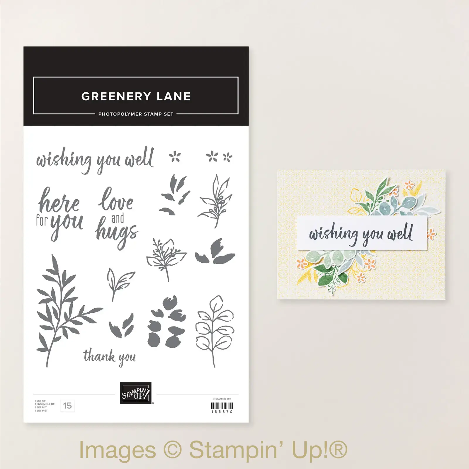 Greenery Lane Stamp Set